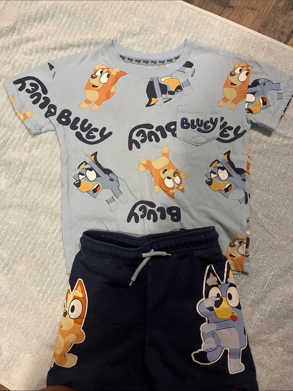 Bluey and Bingo Shirt and Shorts Set